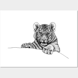 Amur tiger cub - ink illustration Posters and Art